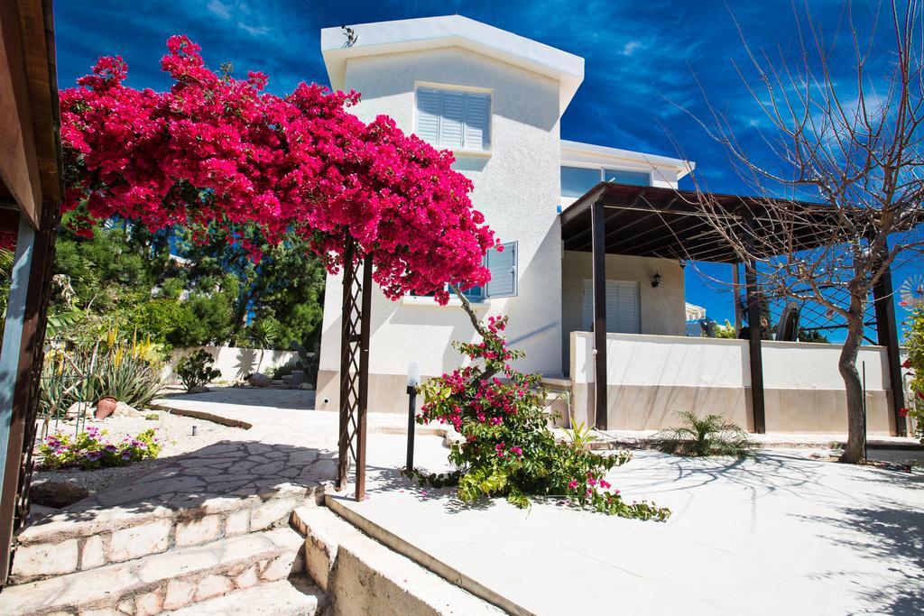Merab Center Villas Айя-Напа Экстерьер фото